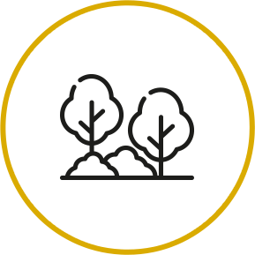 Environment